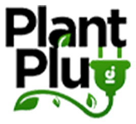 Plant Plug